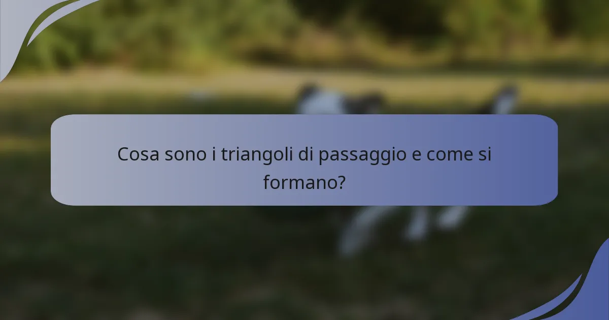 Cosa sono i triangoli di passaggio e come si formano?